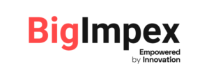 BIG logo-01