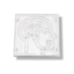 Brain Puzzle