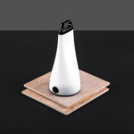 Flip torch with lamp