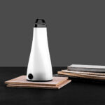 Flip torch with lamp