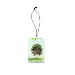 Plastic card dangler
