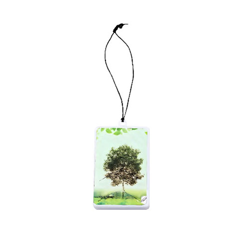 Plastic card dangler
