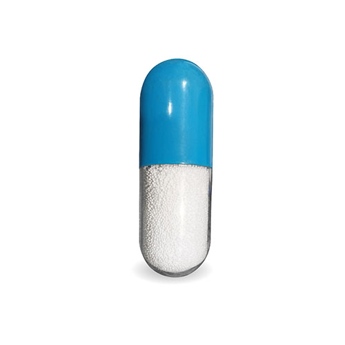 Rocking capsule paper weight
