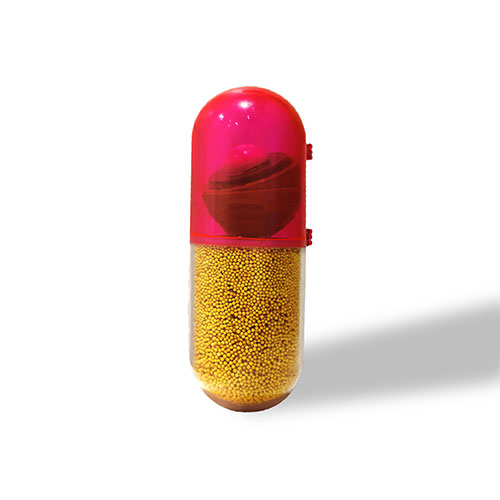 Capsule Gemic