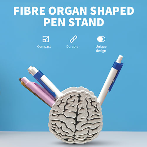 Fibre Organ Shaped Pen Stand