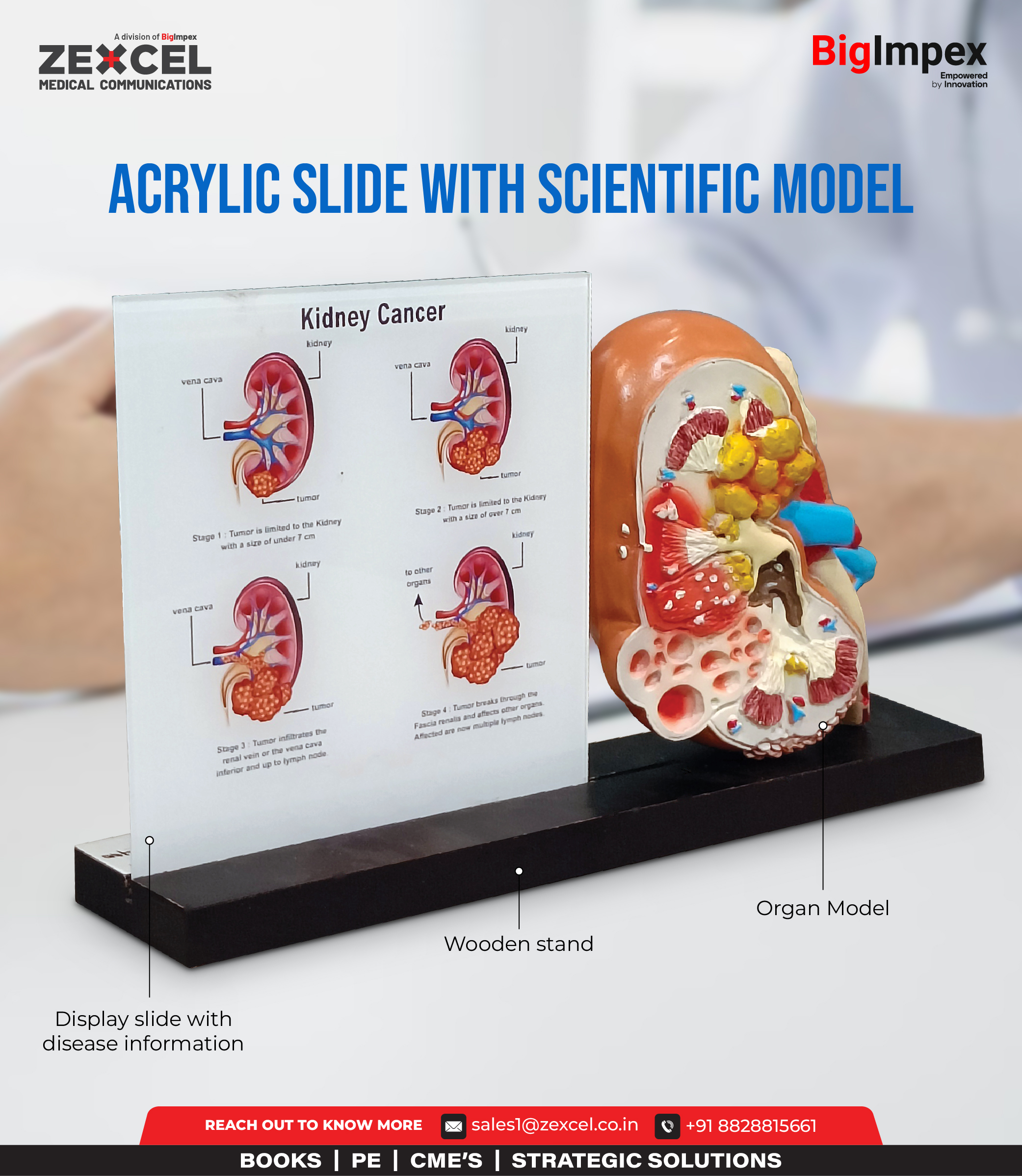 Acrylic slide with Scientific model 3D gifting set