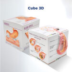 BigImpex 3 cube for Gastritis