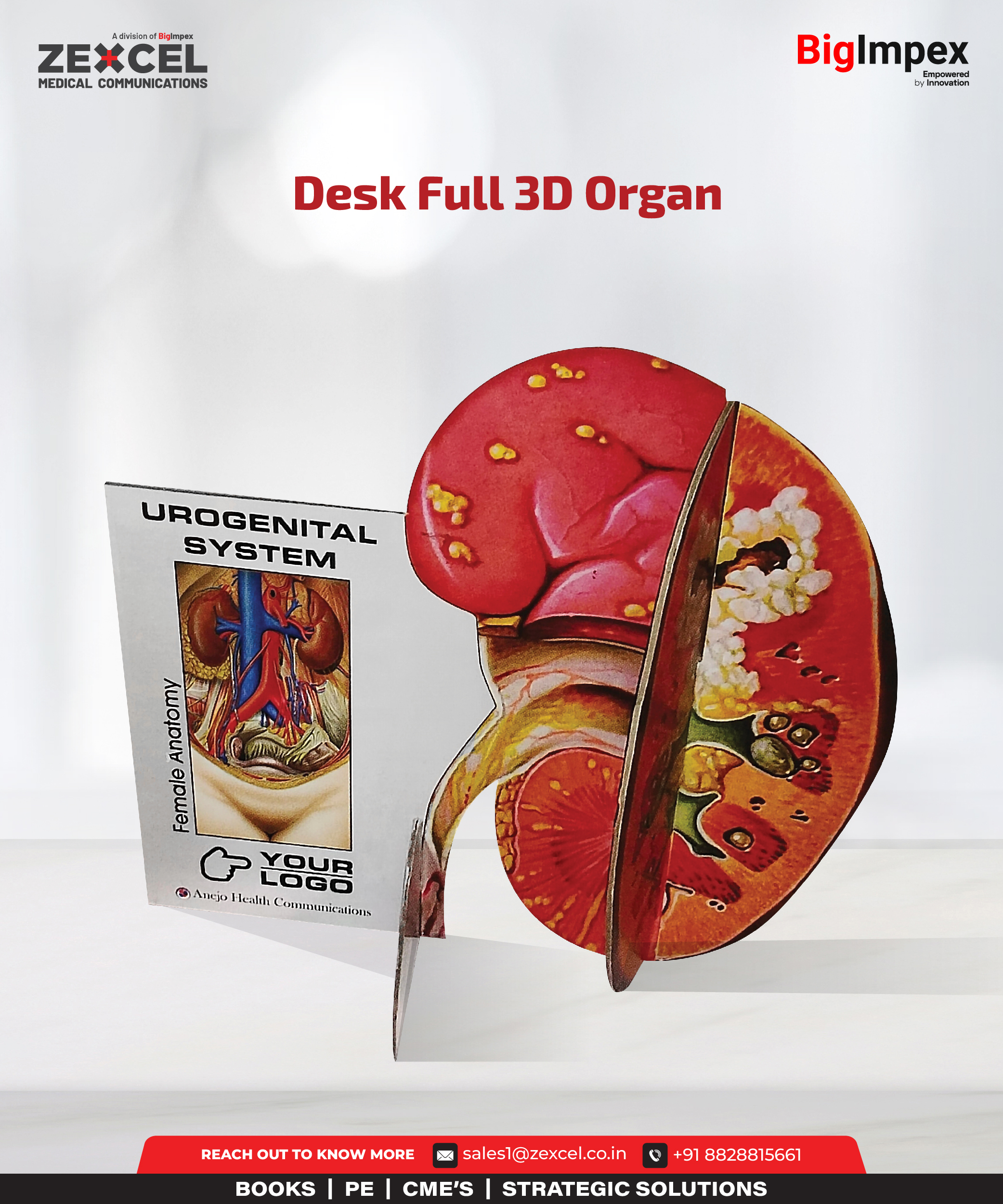 Desk Full 3D Organ (Anejo)