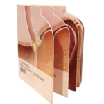 Lenticular Shaped Book for our pharma client
