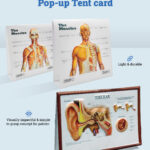 pop-up tent card for our client Zexcel