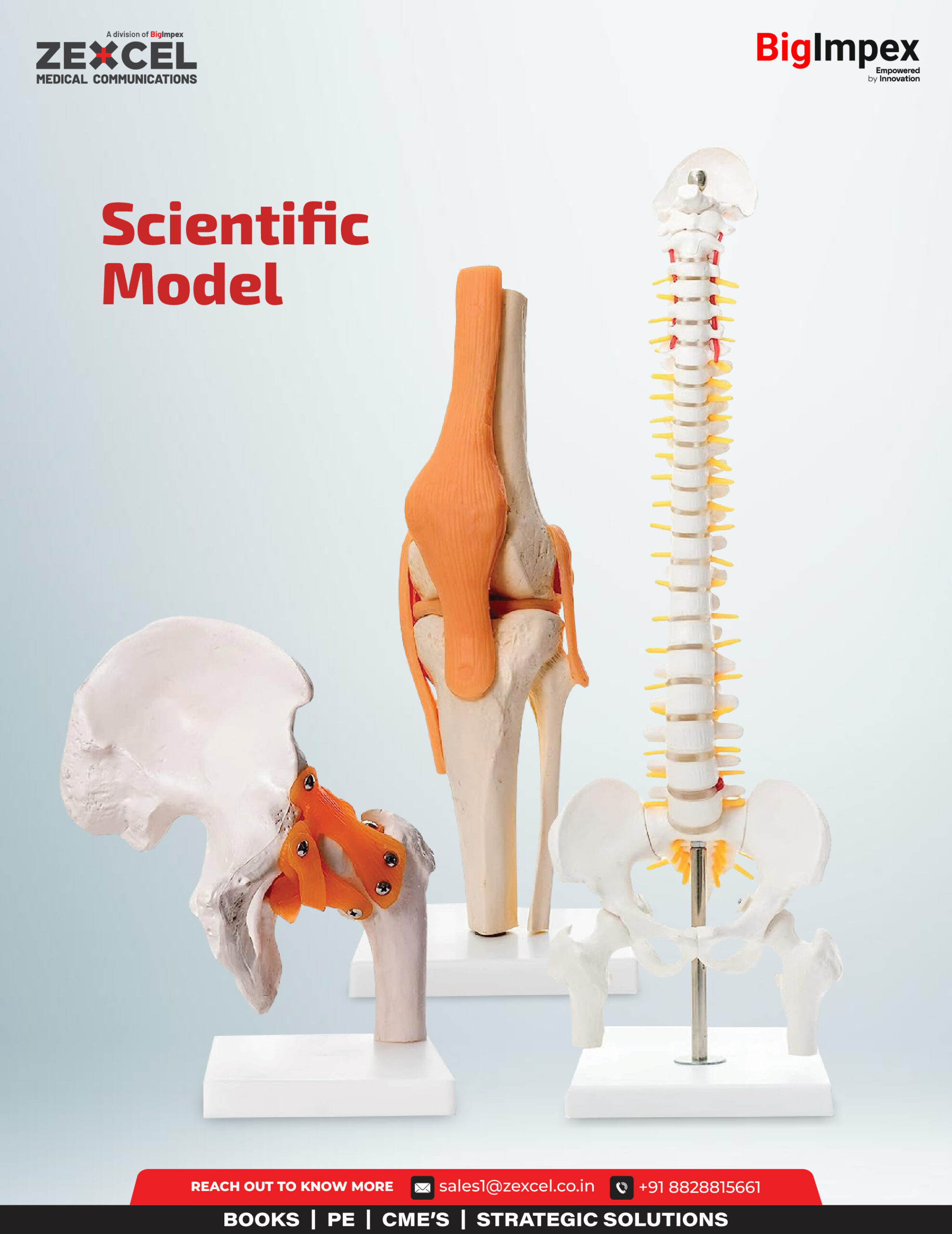 Scientific model