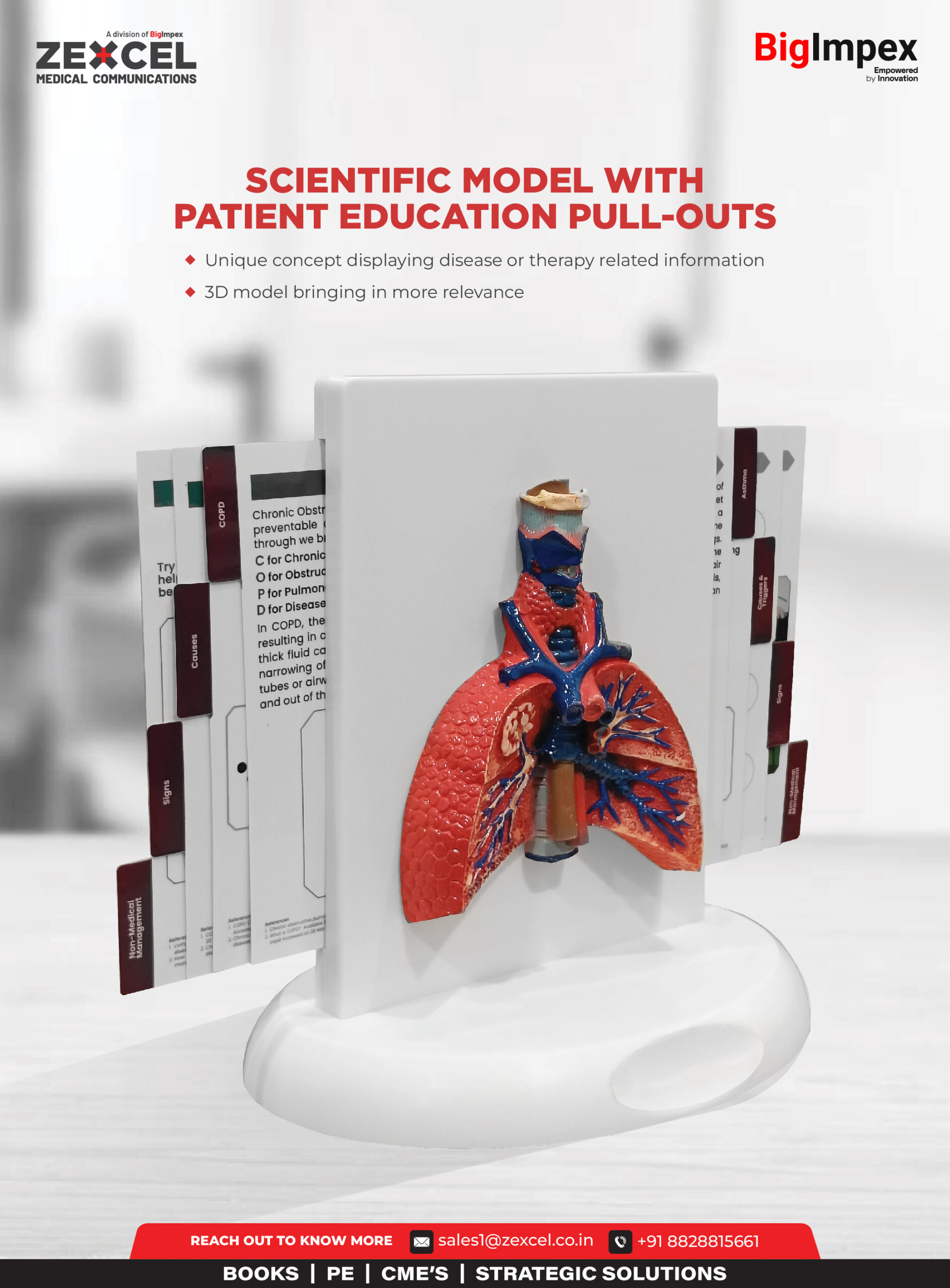 Scientific model with pull outs