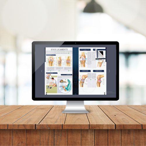 E Flipbook on Ligaments