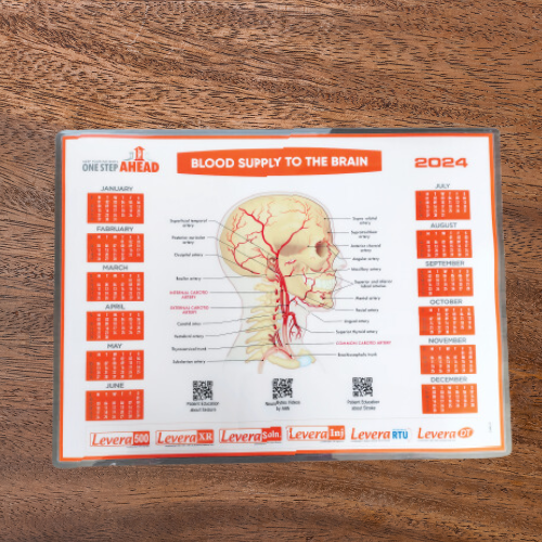 Big impex made PVC mat for our pharma client on blood supply to the brain