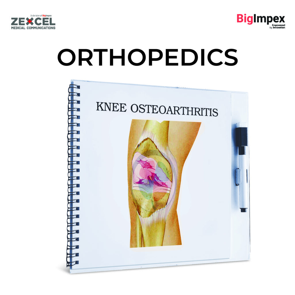 Knee orthopedics - diary - Zexcel
